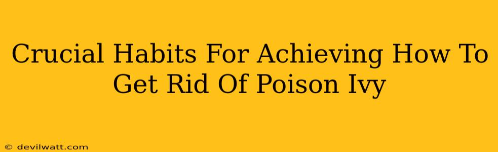 Crucial Habits For Achieving How To Get Rid Of Poison Ivy