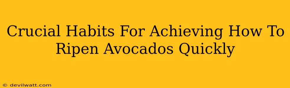 Crucial Habits For Achieving How To Ripen Avocados Quickly