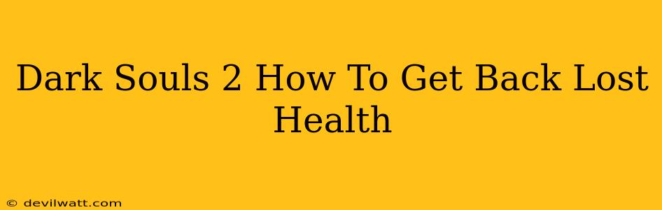 Dark Souls 2 How To Get Back Lost Health