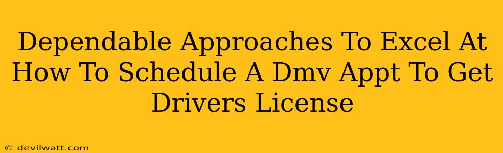 Dependable Approaches To Excel At How To Schedule A Dmv Appt To Get Drivers License