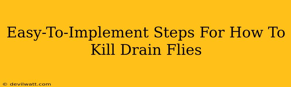 Easy-To-Implement Steps For How To Kill Drain Flies