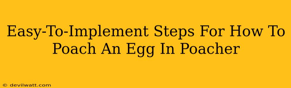 Easy-To-Implement Steps For How To Poach An Egg In Poacher