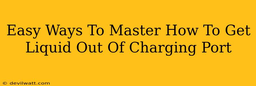 Easy Ways To Master How To Get Liquid Out Of Charging Port