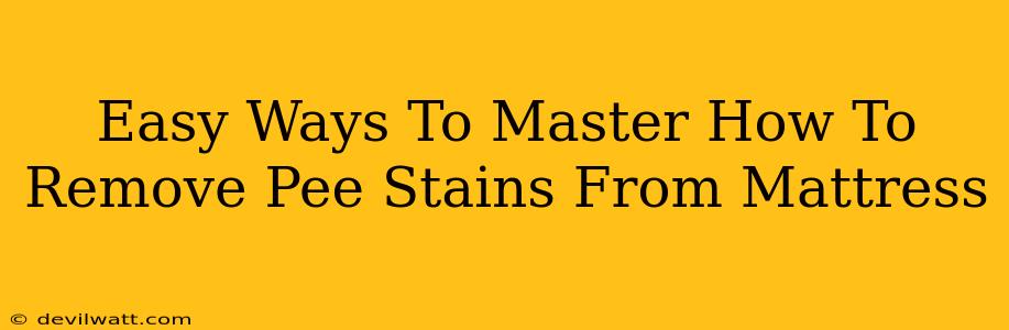 Easy Ways To Master How To Remove Pee Stains From Mattress