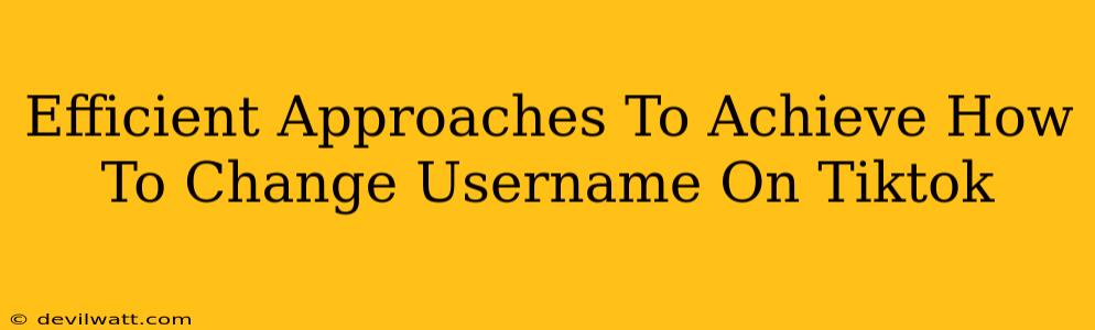 Efficient Approaches To Achieve How To Change Username On Tiktok