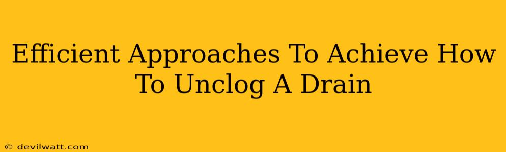 Efficient Approaches To Achieve How To Unclog A Drain