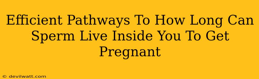 Efficient Pathways To How Long Can Sperm Live Inside You To Get Pregnant