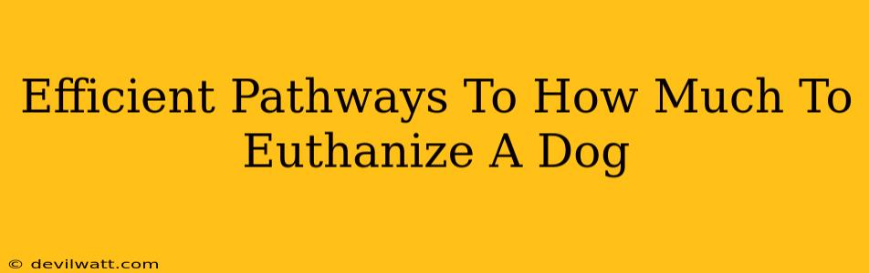 Efficient Pathways To How Much To Euthanize A Dog