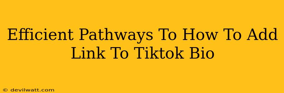 Efficient Pathways To How To Add Link To Tiktok Bio