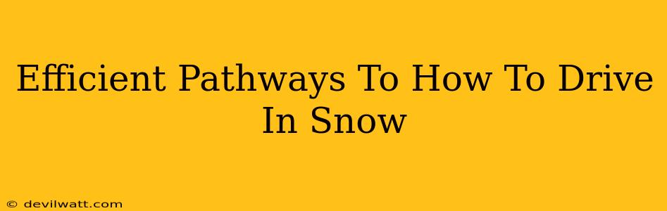 Efficient Pathways To How To Drive In Snow