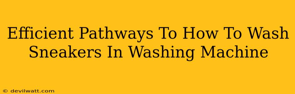 Efficient Pathways To How To Wash Sneakers In Washing Machine