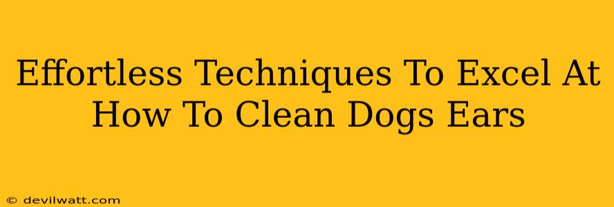 Effortless Techniques To Excel At How To Clean Dogs Ears