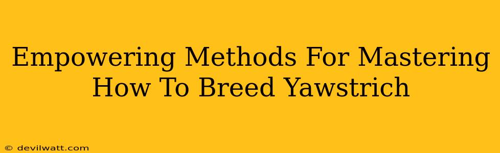 Empowering Methods For Mastering How To Breed Yawstrich