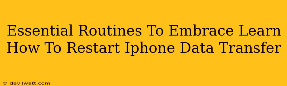 Essential Routines To Embrace Learn How To Restart Iphone Data Transfer