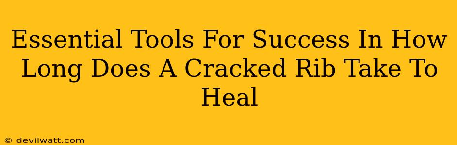 Essential Tools For Success In How Long Does A Cracked Rib Take To Heal