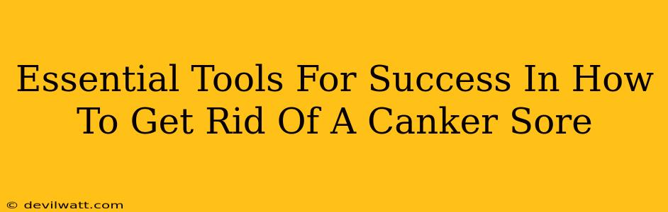 Essential Tools For Success In How To Get Rid Of A Canker Sore