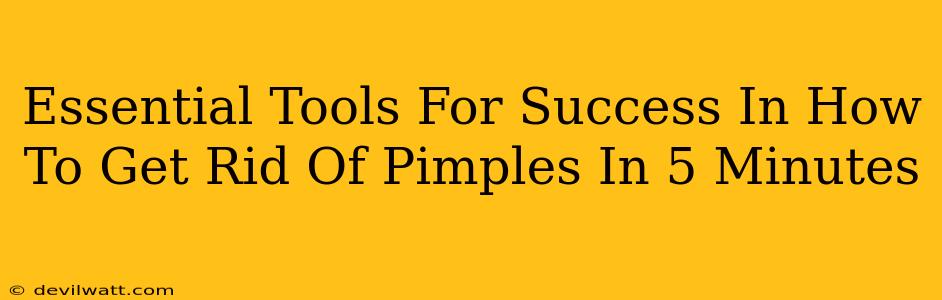 Essential Tools For Success In How To Get Rid Of Pimples In 5 Minutes