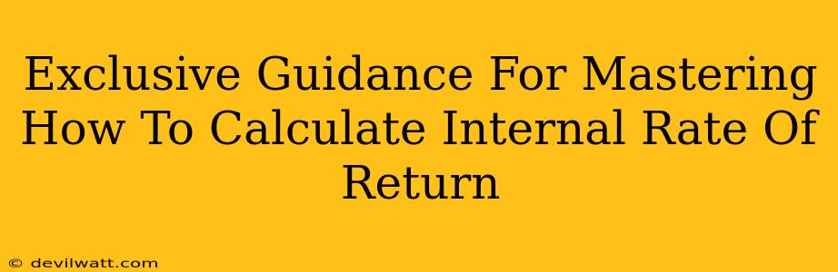 Exclusive Guidance For Mastering How To Calculate Internal Rate Of Return