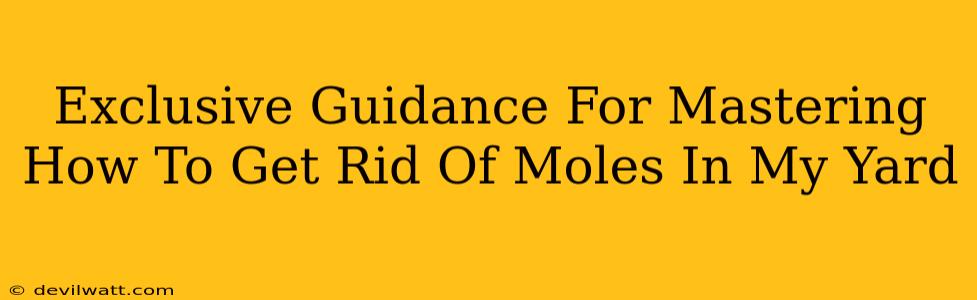 Exclusive Guidance For Mastering How To Get Rid Of Moles In My Yard