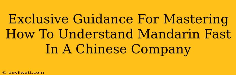 Exclusive Guidance For Mastering How To Understand Mandarin Fast In A Chinese Company