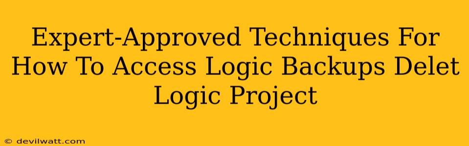 Expert-Approved Techniques For How To Access Logic Backups Delet Logic Project