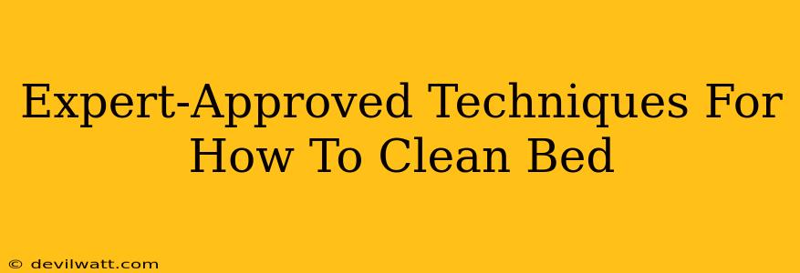 Expert-Approved Techniques For How To Clean Bed