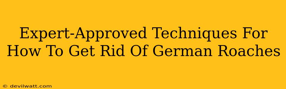 Expert-Approved Techniques For How To Get Rid Of German Roaches