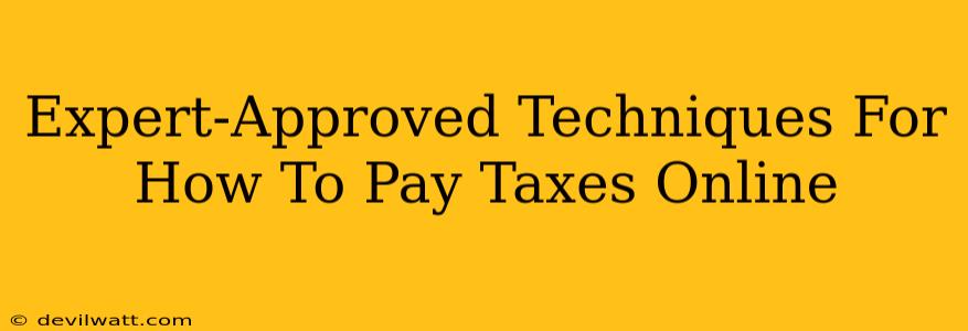 Expert-Approved Techniques For How To Pay Taxes Online