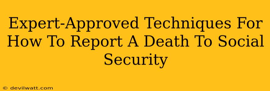 Expert-Approved Techniques For How To Report A Death To Social Security