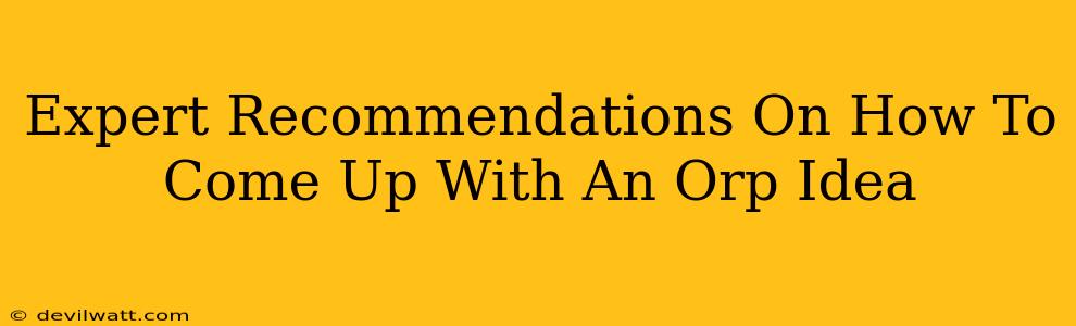 Expert Recommendations On How To Come Up With An Orp Idea