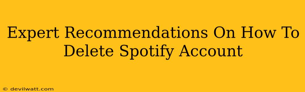 Expert Recommendations On How To Delete Spotify Account