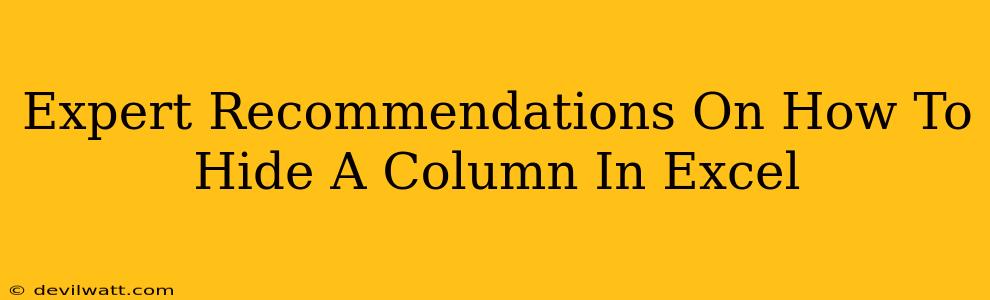 Expert Recommendations On How To Hide A Column In Excel