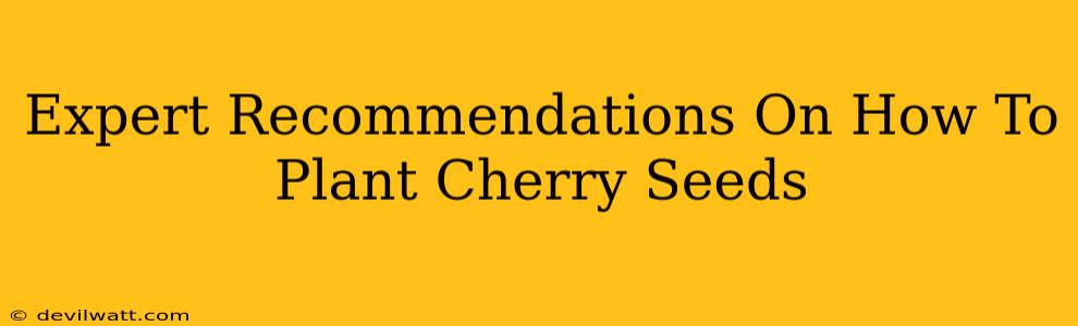 Expert Recommendations On How To Plant Cherry Seeds