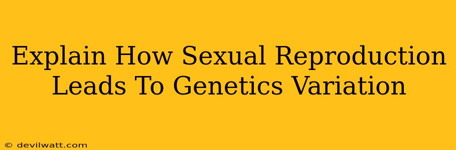 Explain How Sexual Reproduction Leads To Genetics Variation