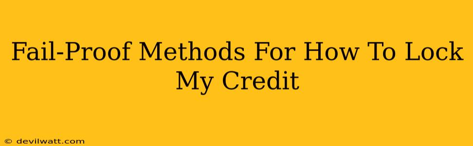 Fail-Proof Methods For How To Lock My Credit