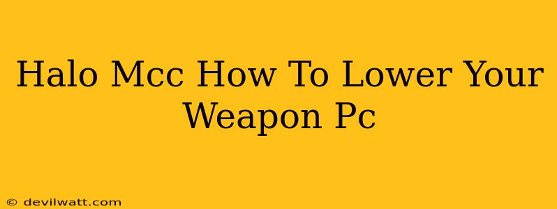 Halo Mcc How To Lower Your Weapon Pc