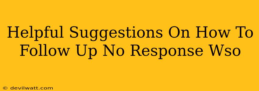 Helpful Suggestions On How To Follow Up No Response Wso