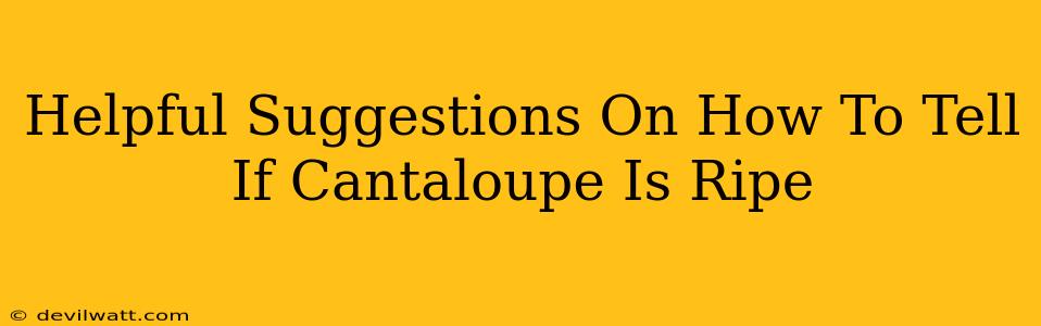 Helpful Suggestions On How To Tell If Cantaloupe Is Ripe