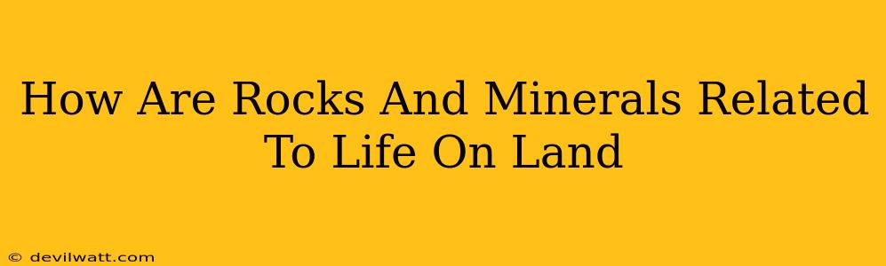 How Are Rocks And Minerals Related To Life On Land