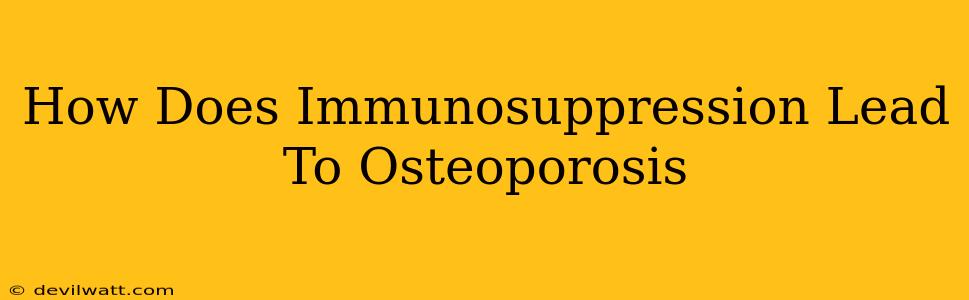 How Does Immunosuppression Lead To Osteoporosis