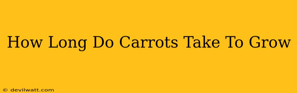 How Long Do Carrots Take To Grow