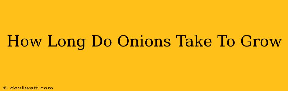 How Long Do Onions Take To Grow