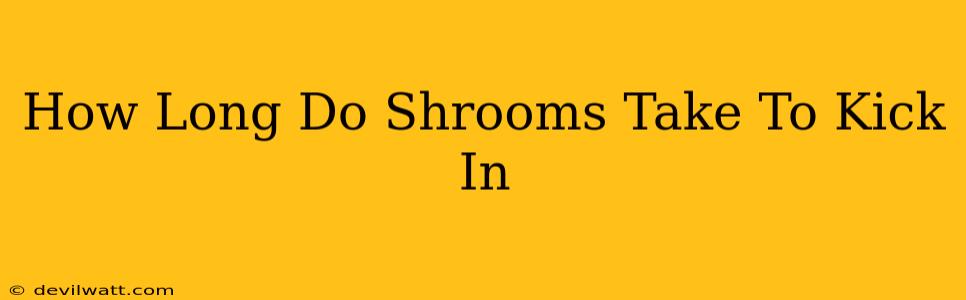 How Long Do Shrooms Take To Kick In