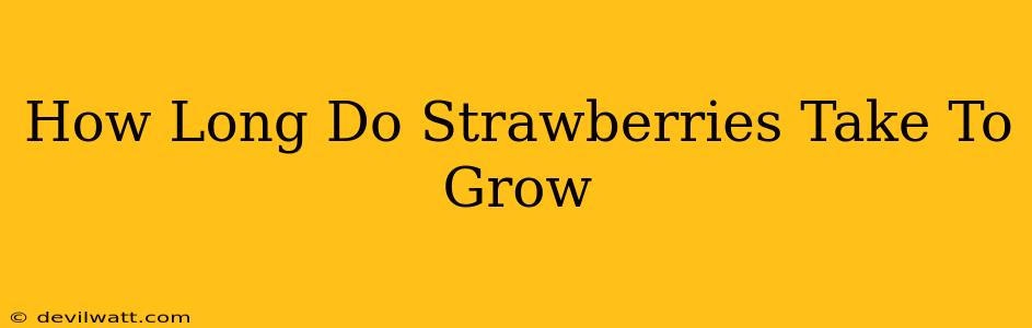 How Long Do Strawberries Take To Grow