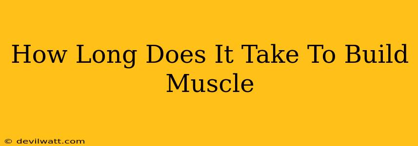 How Long Does It Take To Build Muscle