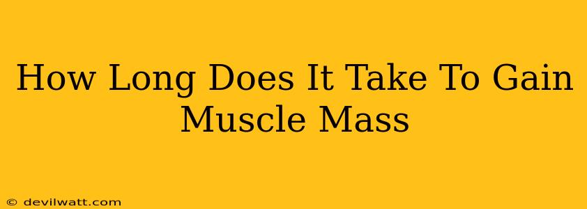 How Long Does It Take To Gain Muscle Mass