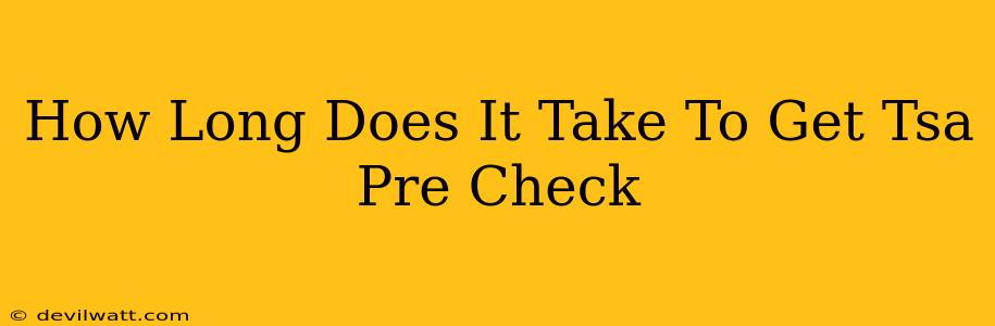 How Long Does It Take To Get Tsa Pre Check