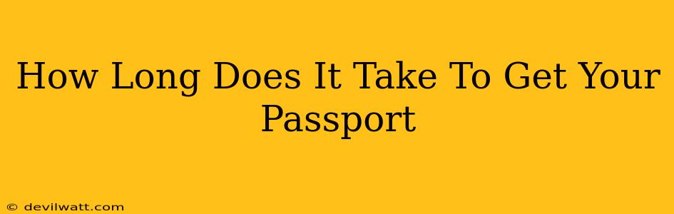 How Long Does It Take To Get Your Passport