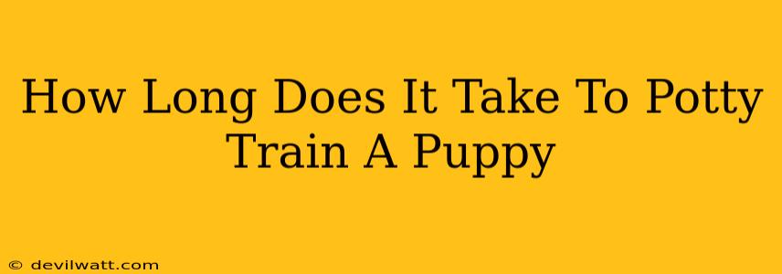 How Long Does It Take To Potty Train A Puppy