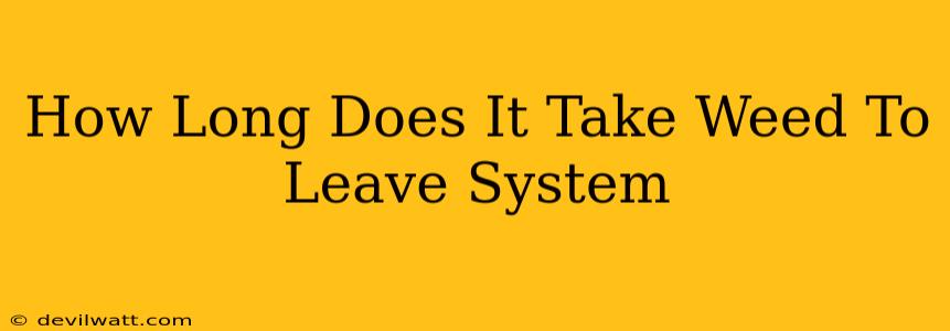 How Long Does It Take Weed To Leave System